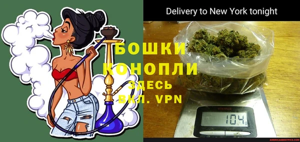 дживик Белокуриха