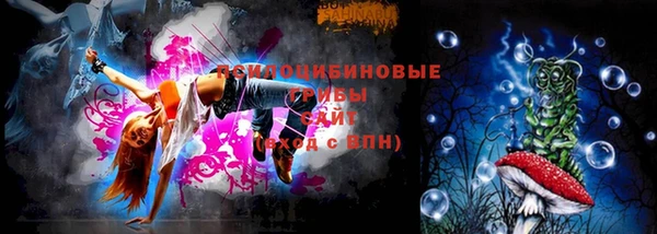 дживик Белокуриха