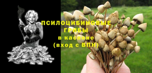 дживик Белокуриха