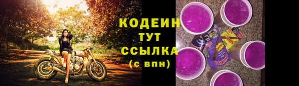 дживик Белокуриха
